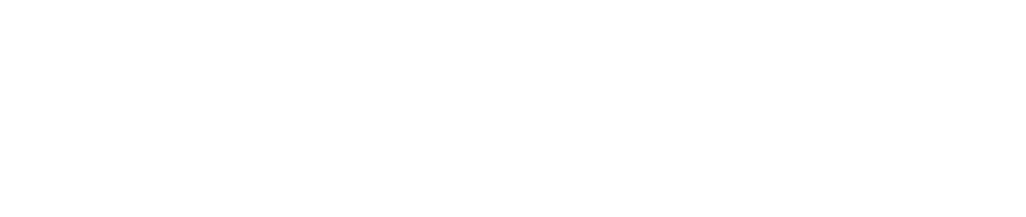 Малавита (Фильм, 2013)