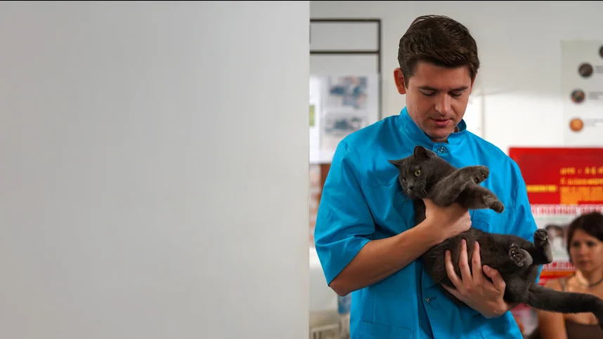 Bukilgan dik bilan porno