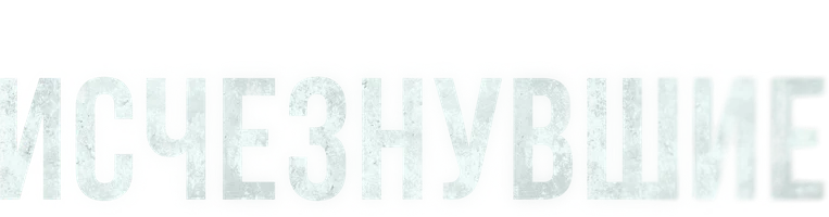 Исчезнувшие (сериал 2023)