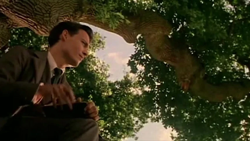 Волшебная страна