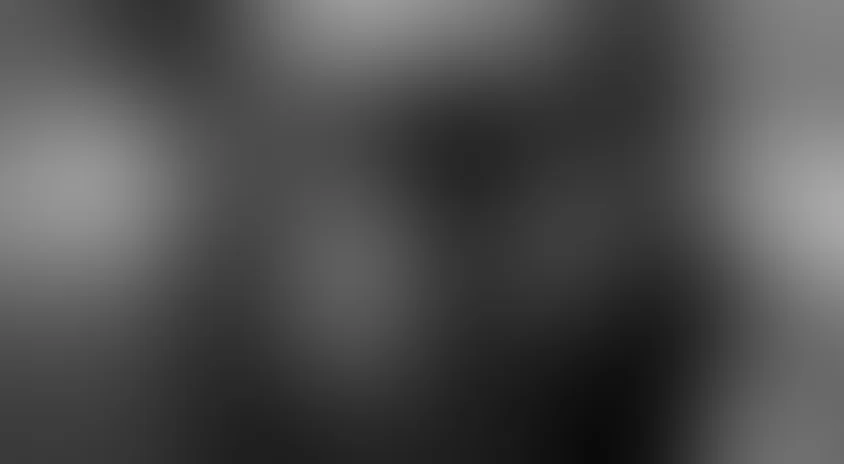 Черная роза – эмблема печали, красная роза – эмблема любви