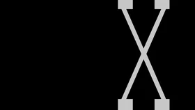 Малкольм Икс