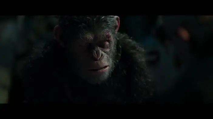 Фрагмент 3 (английский язык)