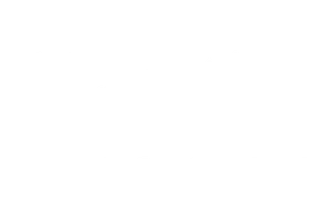 Приключения экспоната (START)