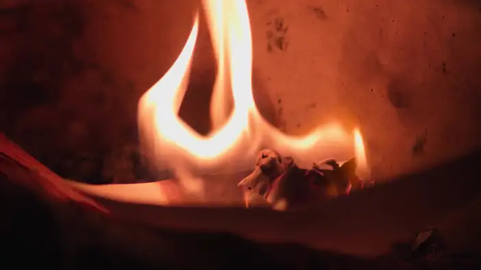 Трейлер (русский язык)