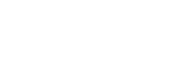 Birovning puli