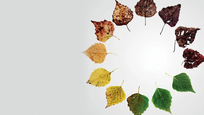 Альтернативные концовки: Шесть новых способов умереть в Америке