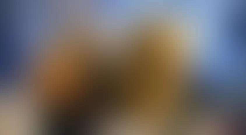 Дракула: Мертвый и довольный