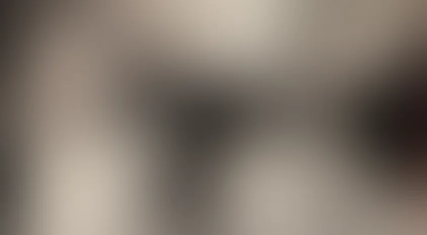 Прекрасный ноябрь