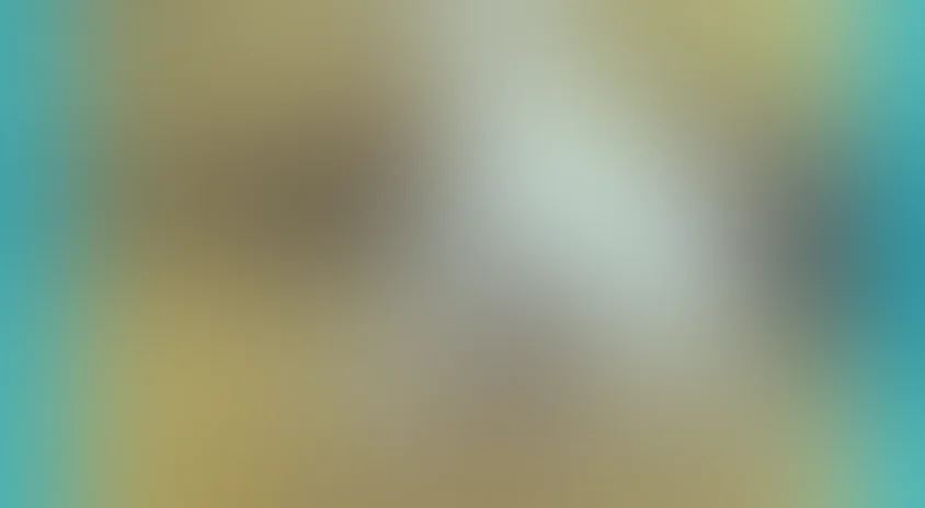 Хочу бодаться!