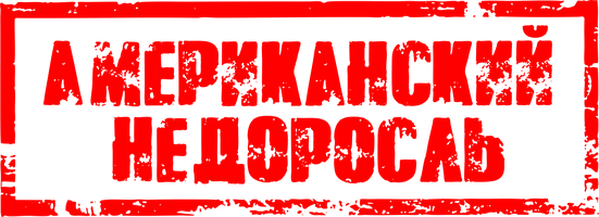 Фильм Американский недоросль