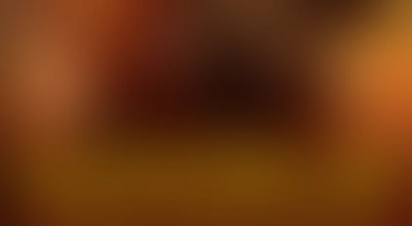 Детектив Ди и тайна призрачного пламени