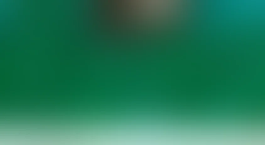 Гусеница Боро