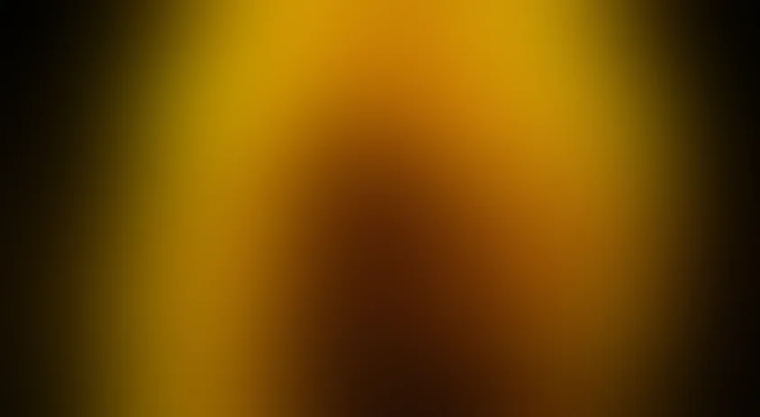 BBC: Разум человека