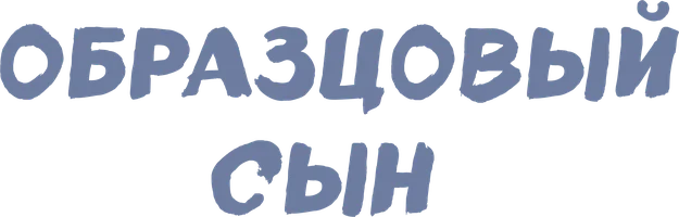 Фильм Образцовый сын