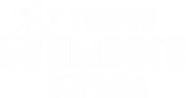 Теория большого взрыва (Amediateka)