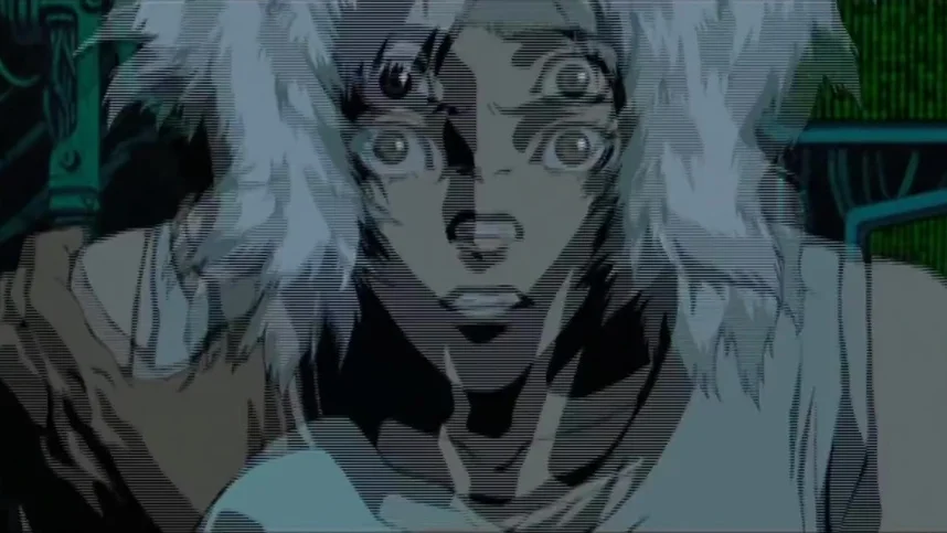 Аниматрица