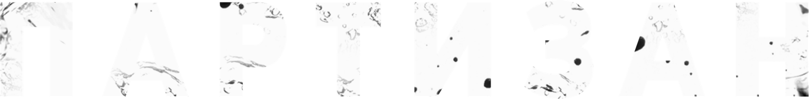 Партизан (Фильм, 2015)