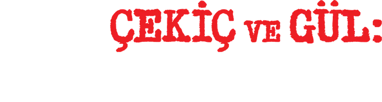 Bolg'a va atirgul: A Behzat Ç. Hikoya