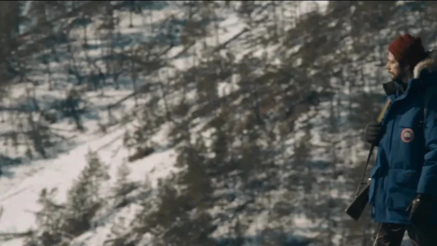 В лесах Сибири