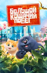 Большой кошачий побег