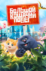 Большой кошачий побег