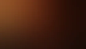 Портрет в сумерках