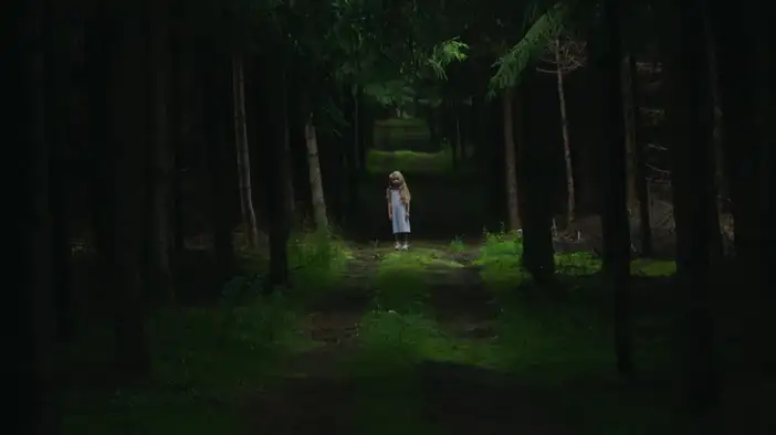 Трейлер (французский язык)