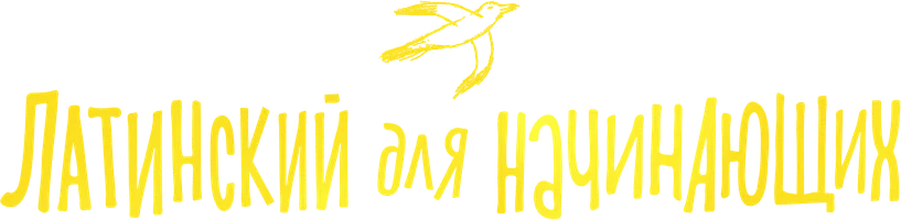 Фильм Латинский для начинающих