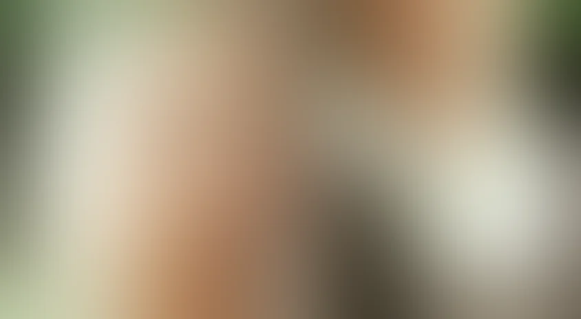 Зеленая карета