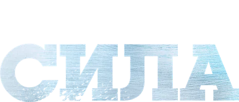 Власть в ночном городе. Книга четвертая: Сила