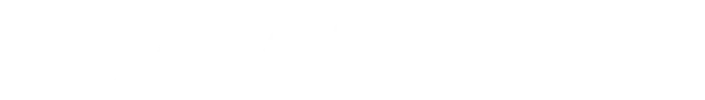 Невидимый гость