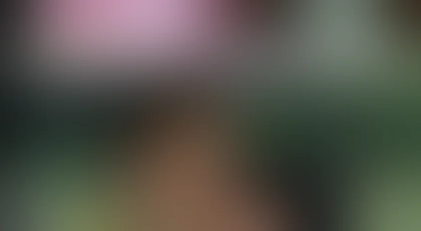 Эффект Домино