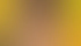 Сыщик без лицензии