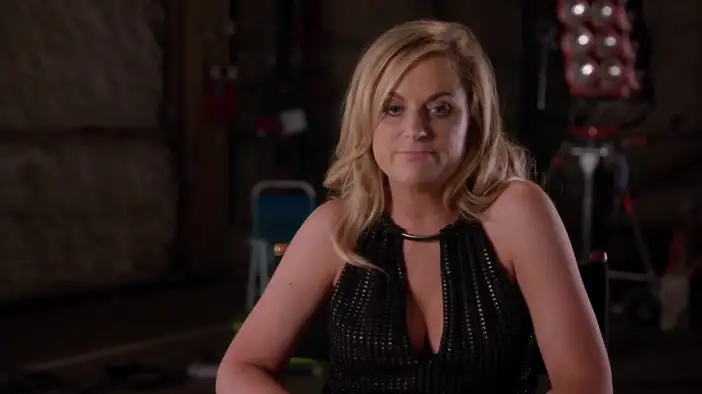 Интервью с Эми Полер (английский язык)