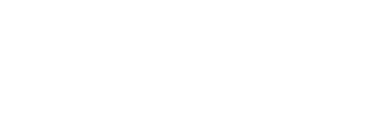 Мэнн против «Форда» (2011)