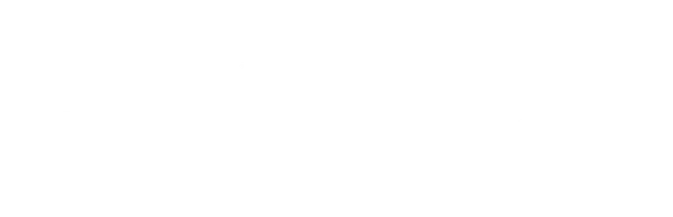Двойная жизнь Пушкина. Женщины, облысение и заработки. Влад Аганов