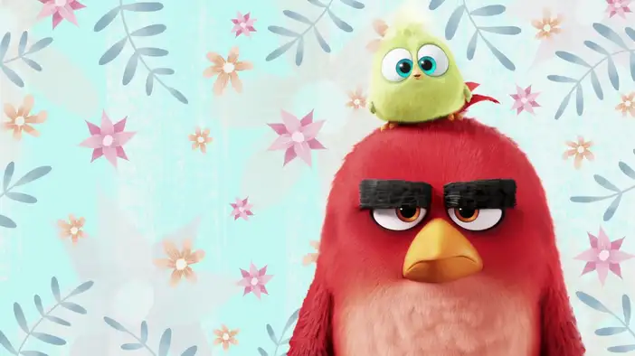 Вирусный ролик 5 (английский язык)