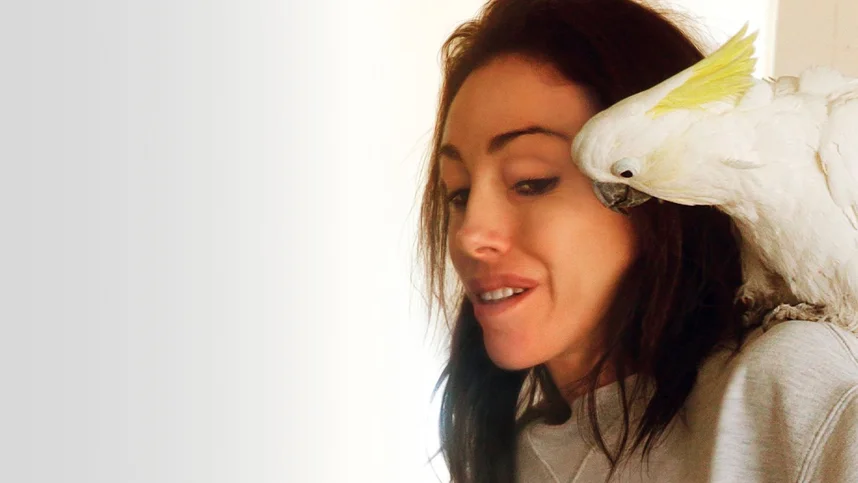 Голливудская мадам