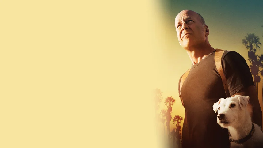 [4k] Его собачье дело