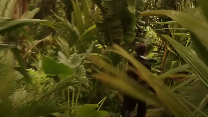 Трейлер (испанский язык)