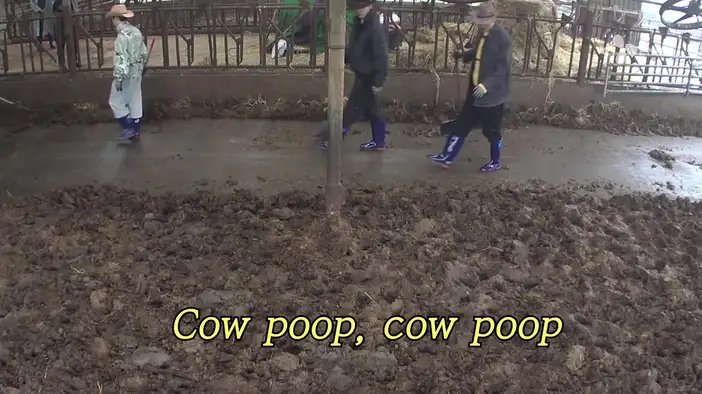 Трейлер (дублированный)