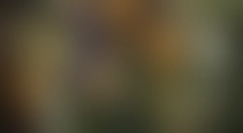 Стан Хельсинг