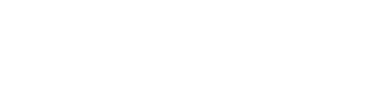 Кадет (Фильм, 2009)