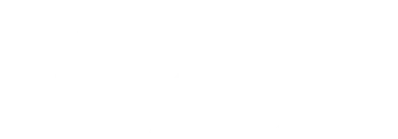 Чарли-пуля