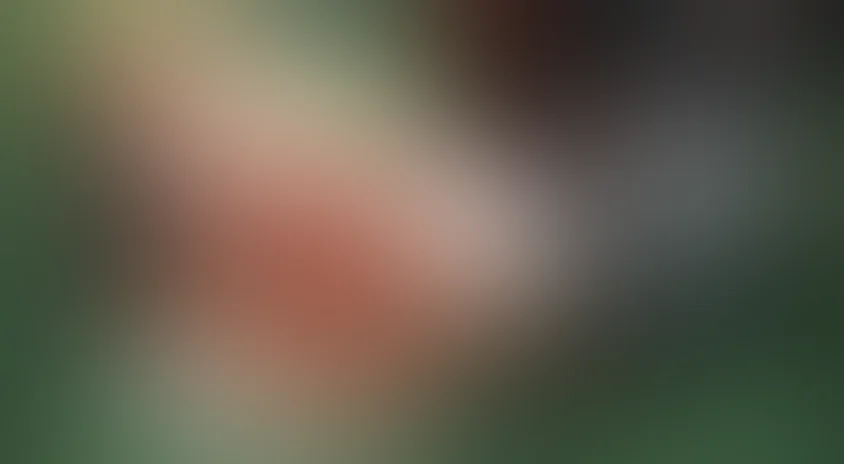 Ангелы и насекомые