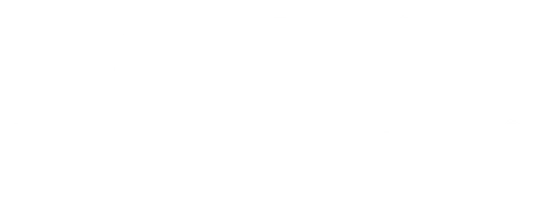 Элитное общество