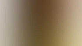 Знахарь (1981)