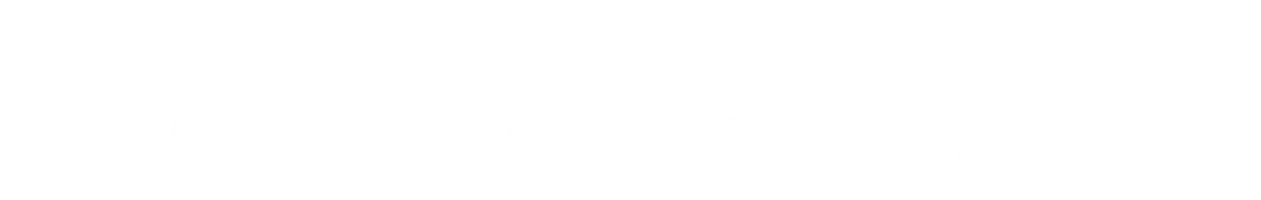 Проверка на дороге (2017)