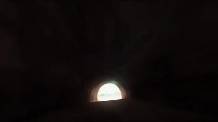 Американский терйлер